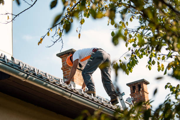 Best Metal Roofing Installation  in Berrien Springs, MI