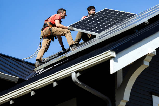 Best Roof Moss and Algae Removal  in Berrien Springs, MI