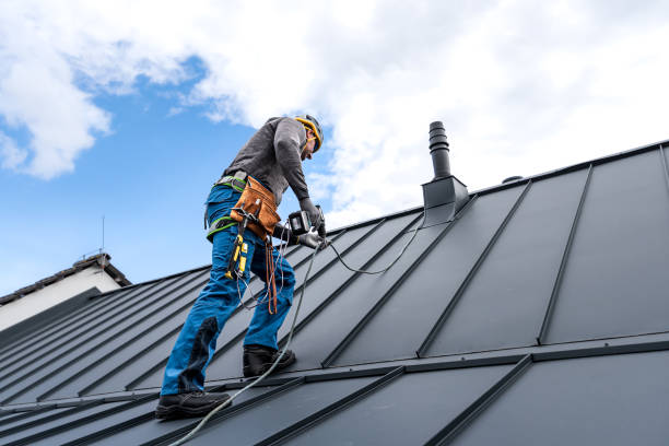 Best Chimney Flashing Repair  in Berrien Springs, MI