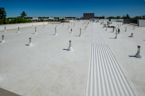 Best Asphalt Shingles Roofing  in Berrien Springs, MI